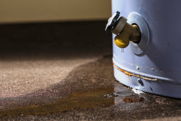 Best Carpet water damage restoration  in Santa Paula, CA
