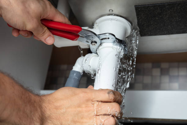 Best Water damage cleanup near me  in Santa Paula, CA