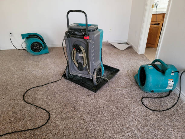 Best Residential water damage restoration  in Santa Paula, CA