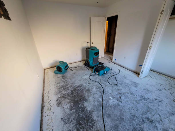 Best Emergency water extraction  in Santa Paula, CA