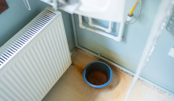 Best 24-hour water damage restoration  in Santa Paula, CA