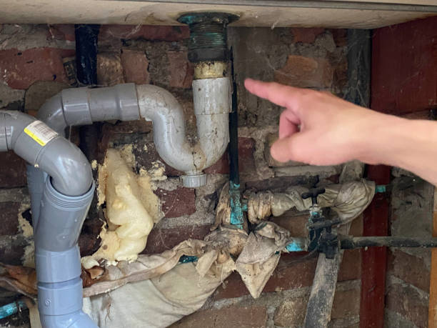 Best Water damage restoration specialists  in Santa Paula, CA