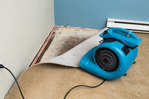 Best Water damage restoration insurance claims  in Santa Paula, CA